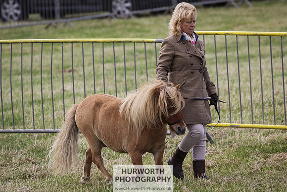 2015 Ossy Show -3