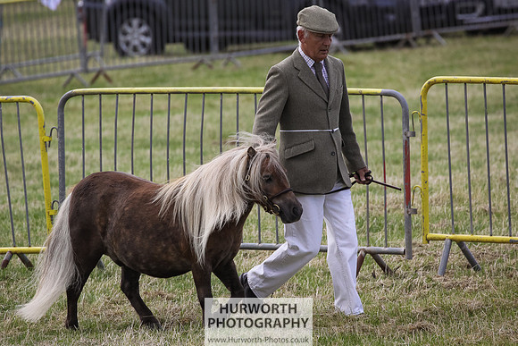 2015 Ossy Show -5
