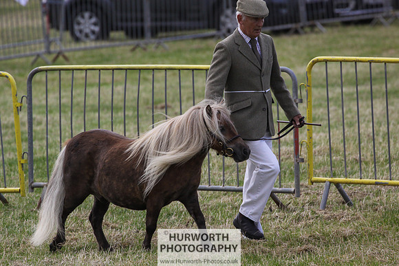 2015 Ossy Show -6