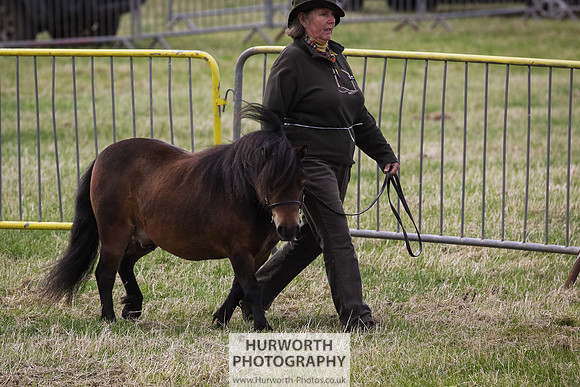 2015 Ossy Show -7