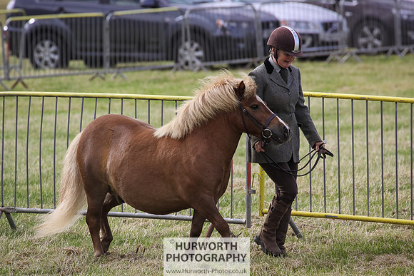2015 Ossy Show -8