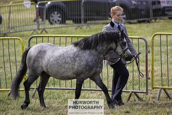 2015 Ossy Show -9