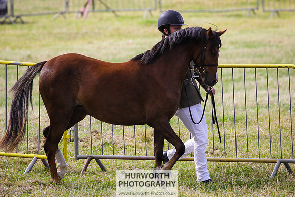 2015 Ossy Show -10