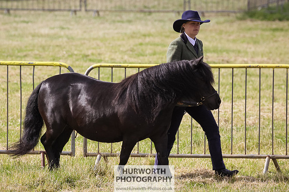 2015 Ossy Show -11