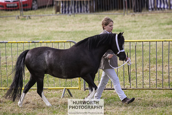 2015 Ossy Show -12
