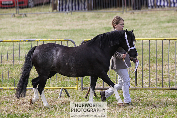 2015 Ossy Show -13