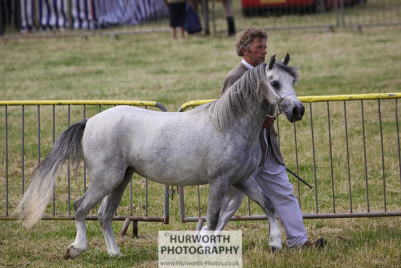2015 Ossy Show -14