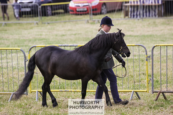 2015 Ossy Show -16