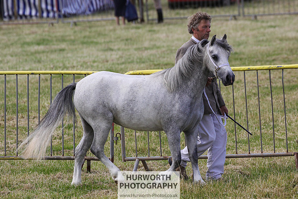 2015 Ossy Show -15