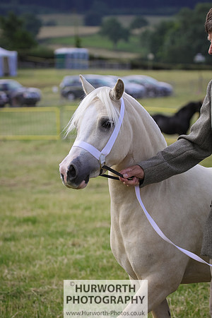 2015 Ossy Show -17