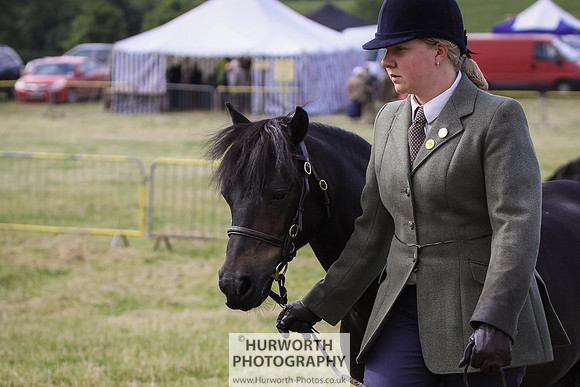 2015 Ossy Show -18