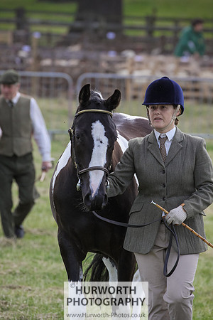 2015 Ossy Show -24