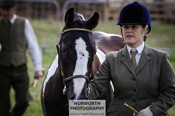 2015 Ossy Show -25