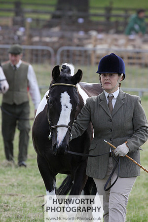 2015 Ossy Show -26