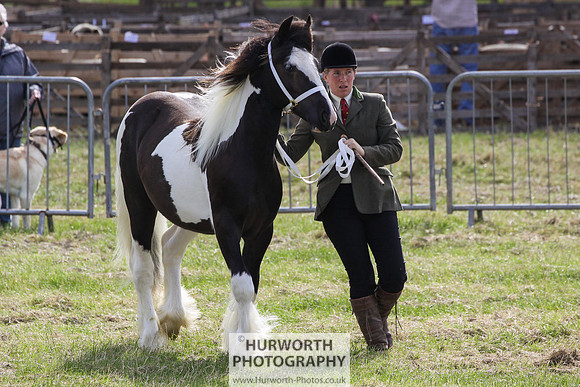 2015 Ossy Show -31
