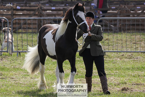 2015 Ossy Show -32
