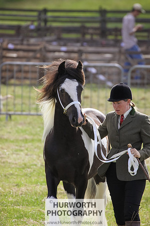 2015 Ossy Show -33