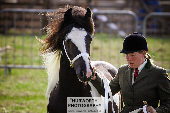 2015 Ossy Show -34
