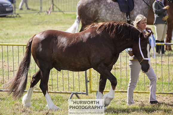 2015 Ossy Show -36