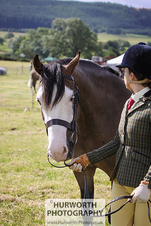 2015 Ossy Show -37