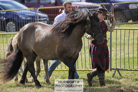2015 Ossy Show -38