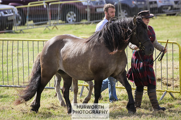 2015 Ossy Show -39