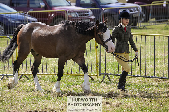 2015 Ossy Show -42