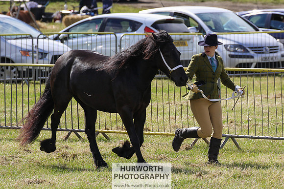2015 Ossy Show -45