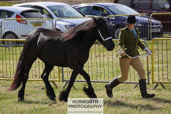 2015 Ossy Show -46