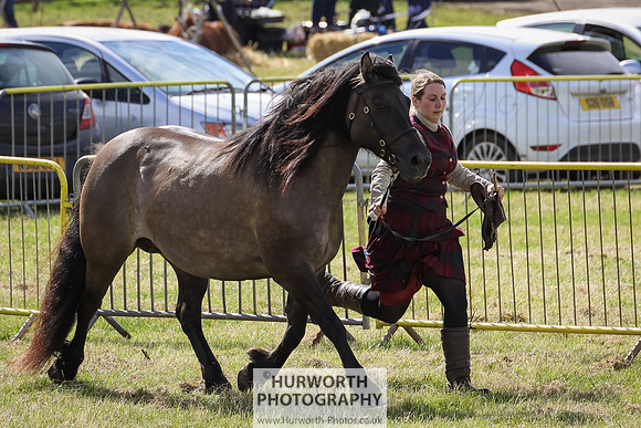 2015 Ossy Show -47