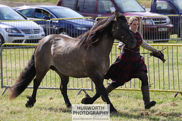 2015 Ossy Show -48
