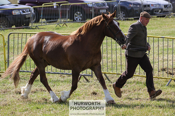 2015 Ossy Show -51