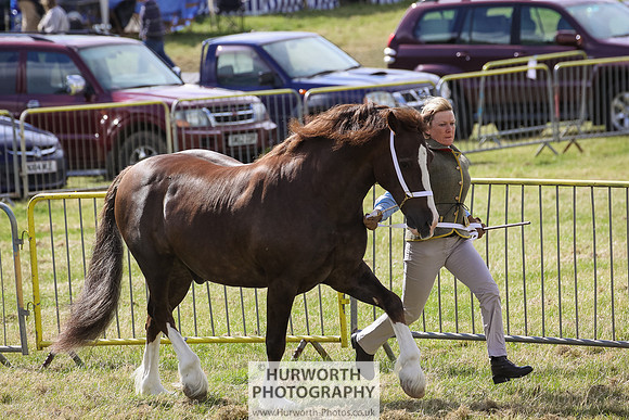 2015 Ossy Show -55