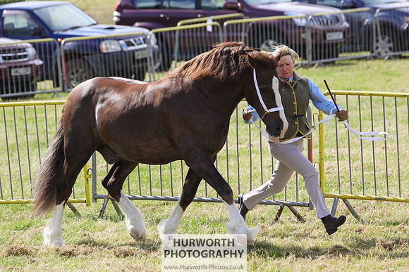 2015 Ossy Show -56