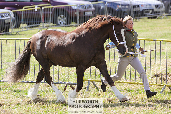 2015 Ossy Show -57