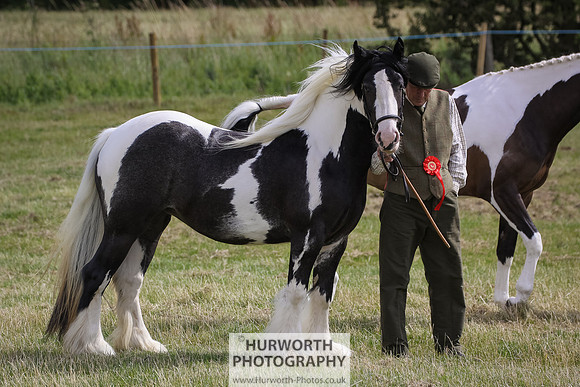 2015 Ossy Show -60