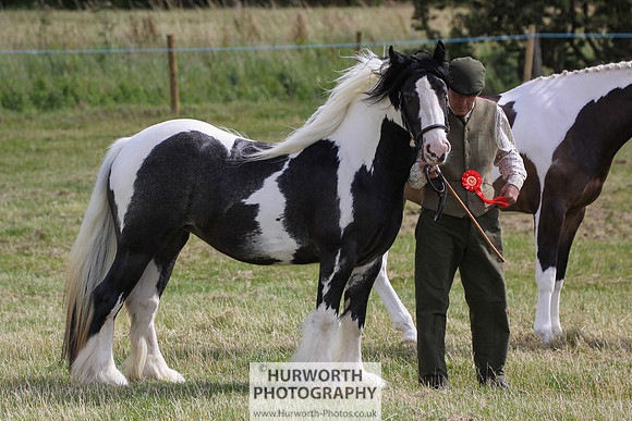 2015 Ossy Show -61