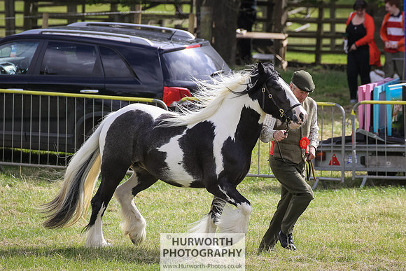 2015 Ossy Show -62