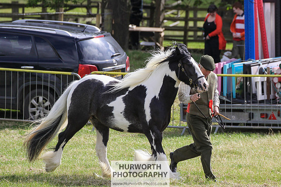 2015 Ossy Show -63