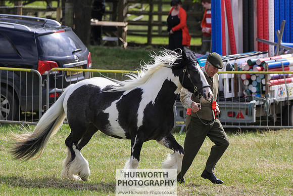 2015 Ossy Show -64