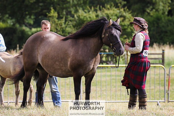 2015 Ossy Show -67