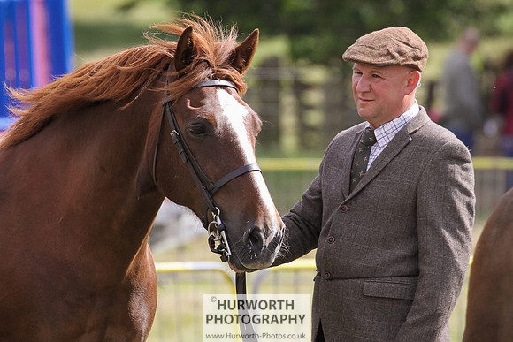 2015 Ossy Show -69
