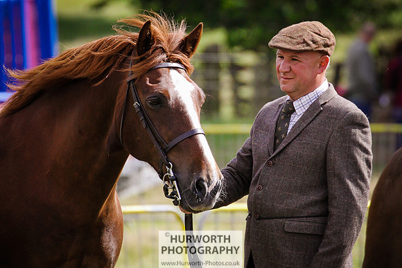 2015 Ossy Show -70