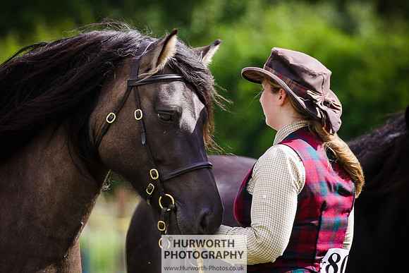2015 Ossy Show -71