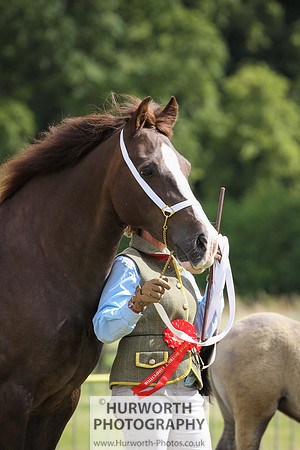2015 Ossy Show -72