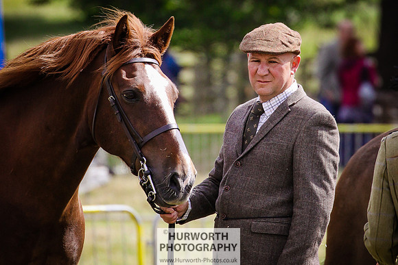 2015 Ossy Show -74