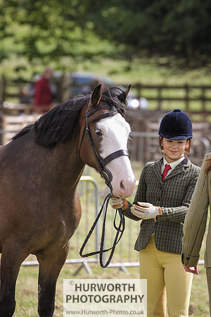 2015 Ossy Show -75