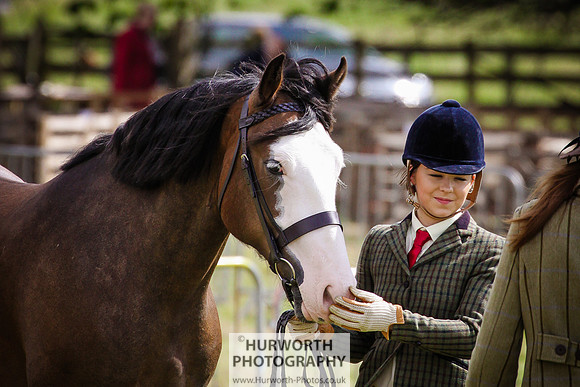 2015 Ossy Show -76
