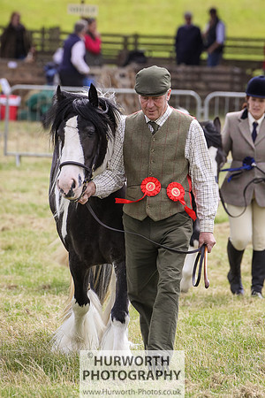 2015 Ossy Show -77