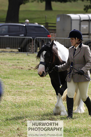 2015 Ossy Show -78